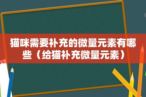 猫咪需要补充的微量元素有哪些（给猫补充微量元素）