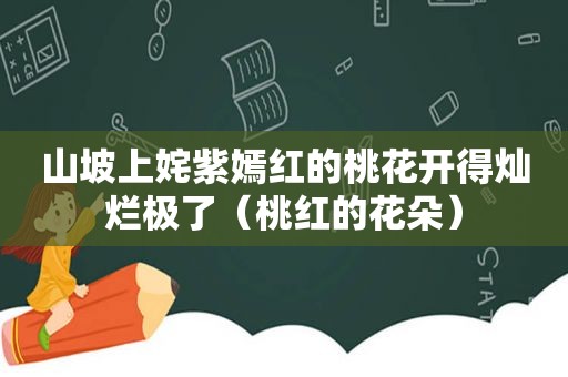 山坡上姹紫嫣红的桃花开得灿烂极了（桃红的花朵）