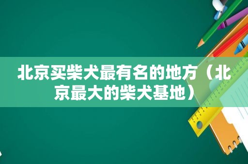 北京买柴犬最有名的地方（北京最大的柴犬基地）