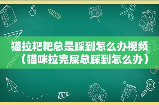 猫拉粑粑总是踩到怎么办视频（猫咪拉完屎总踩到怎么办）