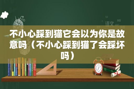 不小心踩到猫它会以为你是故意吗（不小心踩到猫了会踩坏吗）