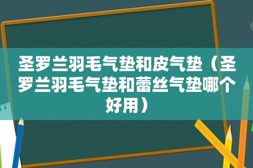 圣罗兰羽毛气垫和皮气垫（圣罗兰羽毛气垫和蕾丝气垫哪个好用）