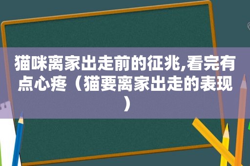 猫咪离家出走前的征兆,看完有点心疼（猫要离家出走的表现）