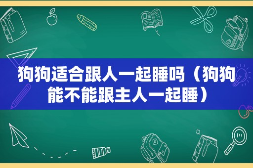 狗狗适合跟人一起睡吗（狗狗能不能跟主人一起睡）