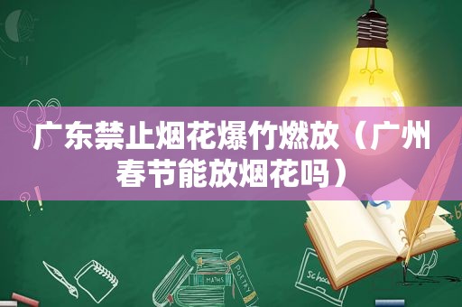 广东禁止烟花爆竹燃放（广州春节能放烟花吗）