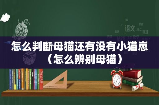 怎么判断母猫还有没有小猫崽（怎么辨别母猫）