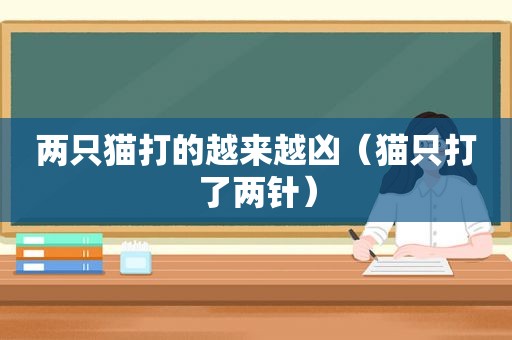 两只猫打的越来越凶（猫只打了两针）