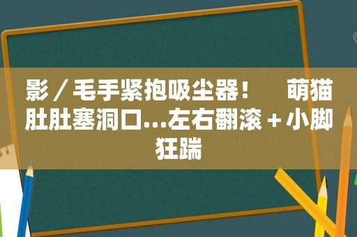 影／毛手紧抱吸尘器！　萌猫肚肚塞洞口…左右翻滚＋小脚狂踹