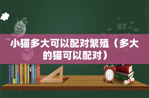 小猫多大可以配对繁殖（多大的猫可以配对）