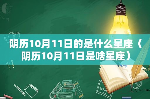 阴历10月11日的是什么星座（阴历10月11日是啥星座）