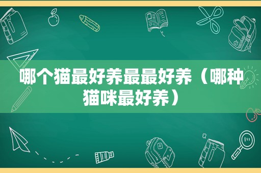 哪个猫最好养最最好养（哪种猫咪最好养）