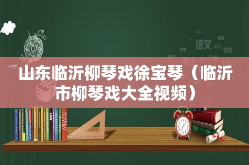 山东临沂柳琴戏徐宝琴（临沂市柳琴戏大全视频）