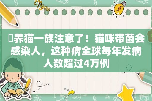 ​养猫一族注意了！猫咪带菌会感染人，这种病全球每年发病人数超过4万例