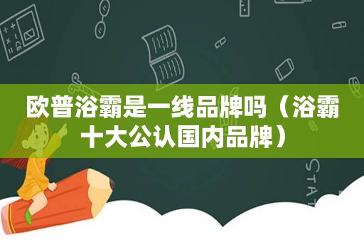 欧普浴霸是一线品牌吗（浴霸十大公认国内品牌）