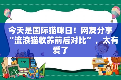 今天是国际猫咪日！网友分享“流浪猫收养前后对比”，太有爱了