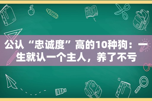 公认“忠诚度”高的10种狗：一生就认一个主人，养了不亏