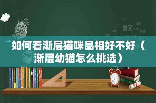 如何看渐层猫咪品相好不好（渐层幼猫怎么挑选）