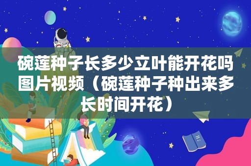 碗莲种子长多少立叶能开花吗图片视频（碗莲种子种出来多长时间开花）