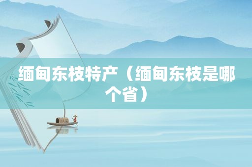  *** 东枝特产（ *** 东枝是哪个省）