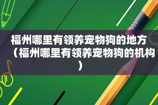 福州哪里有领养宠物狗的地方（福州哪里有领养宠物狗的机构）