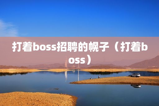 打着boss招聘的幌子（打着boss）