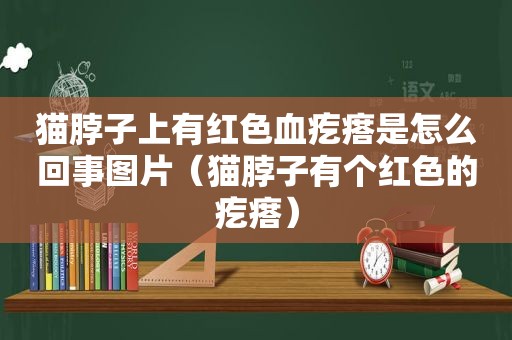 猫脖子上有红色血疙瘩是怎么回事图片（猫脖子有个红色的疙瘩）