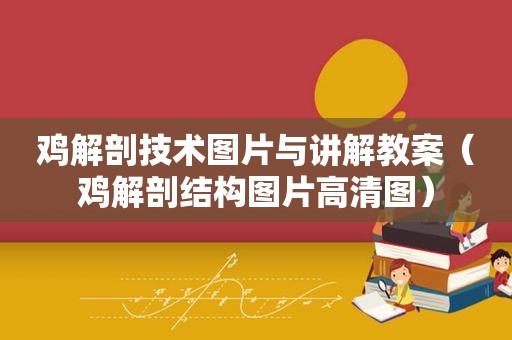 鸡解剖技术图片与讲解教案（鸡解剖结构图片高清图）