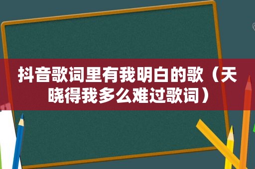 抖音歌词里有我明白的歌（天晓得我多么难过歌词）