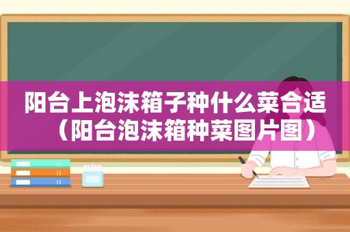 阳台上泡沫箱子种什么菜合适（阳台泡沫箱种菜图片图）