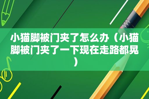 小猫脚被门夹了怎么办（小猫脚被门夹了一下现在走路都晃）