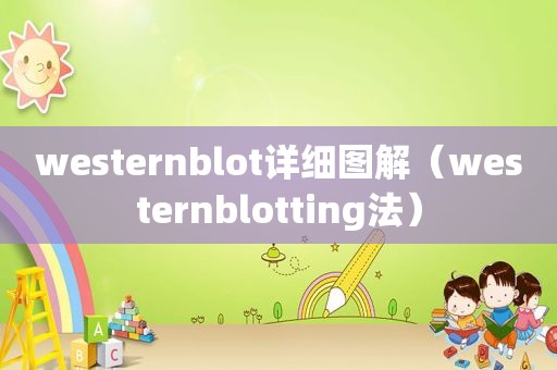 westernblot详细图解（westernblotting法）