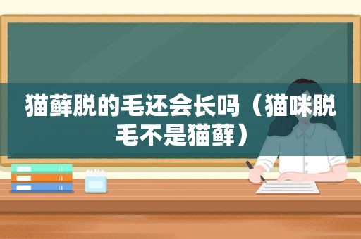 猫藓脱的毛还会长吗（猫咪脱毛不是猫藓）