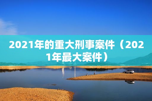 2021年的重大刑事案件（2021年最大案件）