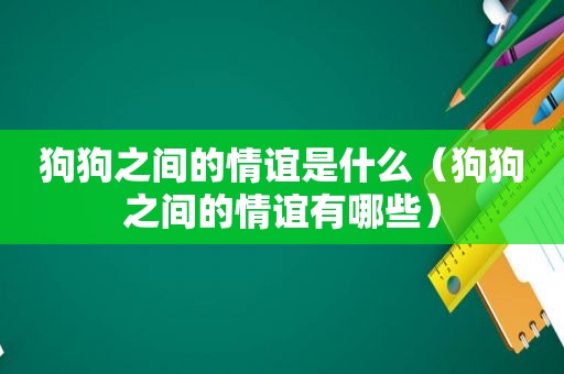 狗狗之间的情谊是什么（狗狗之间的情谊有哪些）