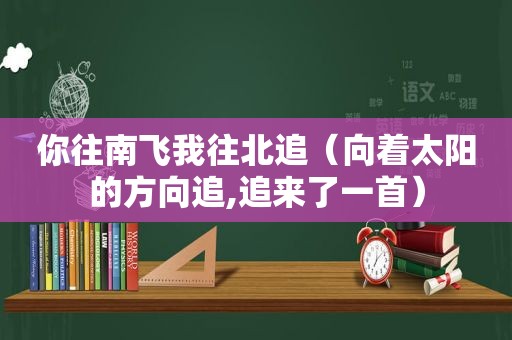 你往南飞我往北追（向着太阳的方向追,追来了一首）