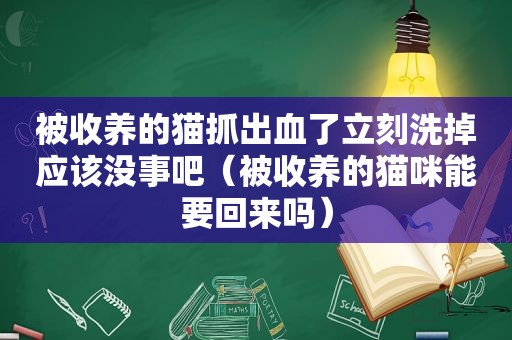 被收养的猫抓出血了立刻洗掉应该没事吧（被收养的猫咪能要回来吗）