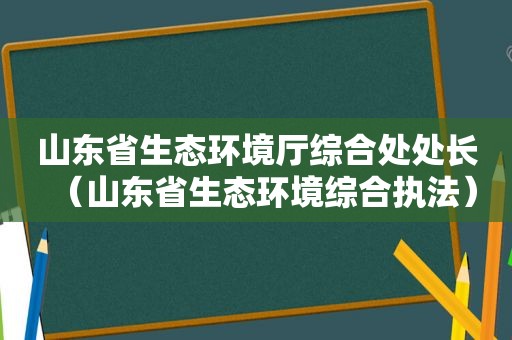 山东省生态环境厅综合处处长（山东省生态环境综合执法）