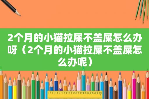 2个月的小猫拉屎不盖屎怎么办呀（2个月的小猫拉屎不盖屎怎么办呢）