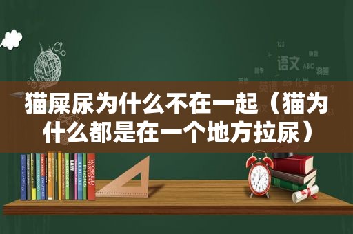 猫屎尿为什么不在一起（猫为什么都是在一个地方拉尿）