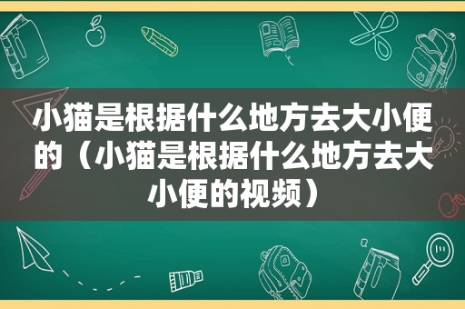 小猫是根据什么地方去大小便的（小猫是根据什么地方去大小便的视频）