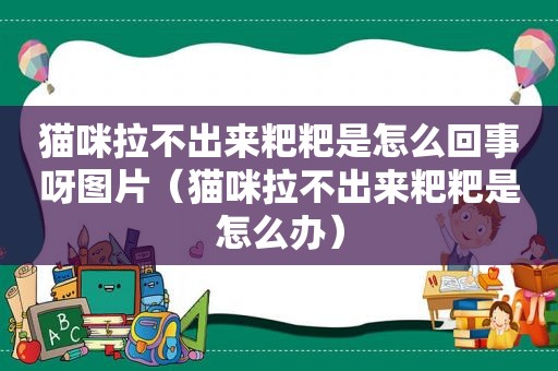 猫咪拉不出来粑粑是怎么回事呀图片（猫咪拉不出来粑粑是怎么办）