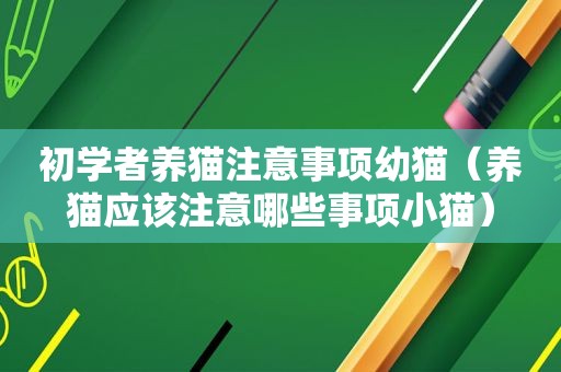 初学者养猫注意事项幼猫（养猫应该注意哪些事项小猫）