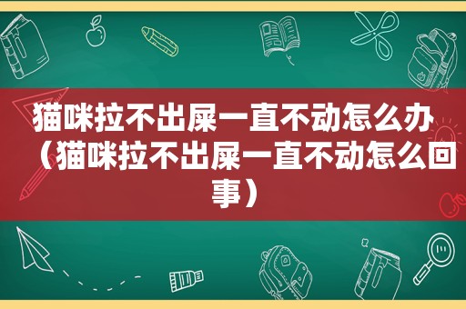 猫咪拉不出屎一直不动怎么办（猫咪拉不出屎一直不动怎么回事）