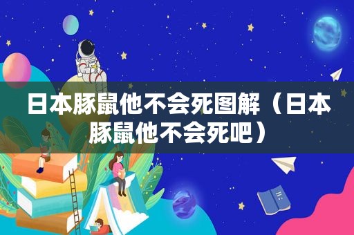 日本豚鼠他不会死图解（日本豚鼠他不会死吧）