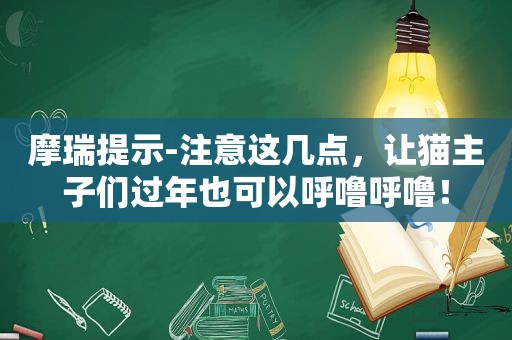 摩瑞提示-注意这几点，让猫主子们过年也可以呼噜呼噜！