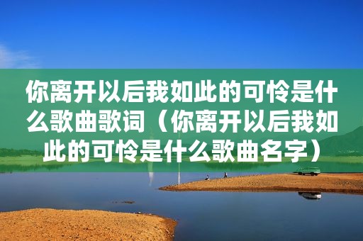 你离开以后我如此的可怜是什么歌曲歌词（你离开以后我如此的可怜是什么歌曲名字）