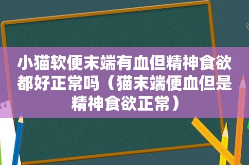 小猫软便末端有血但精神食欲都好正常吗（猫末端便血但是精神食欲正常）