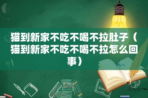 猫到新家不吃不喝不拉肚子（猫到新家不吃不喝不拉怎么回事）