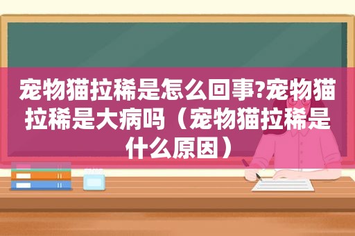 宠物猫拉稀是怎么回事?宠物猫拉稀是大病吗（宠物猫拉稀是什么原因）