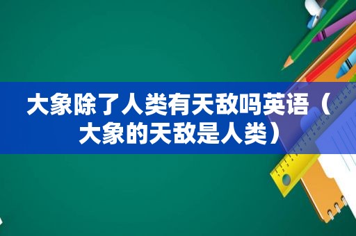 大象除了人类有天敌吗英语（大象的天敌是人类）